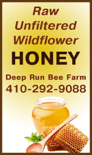 Honey for Sale